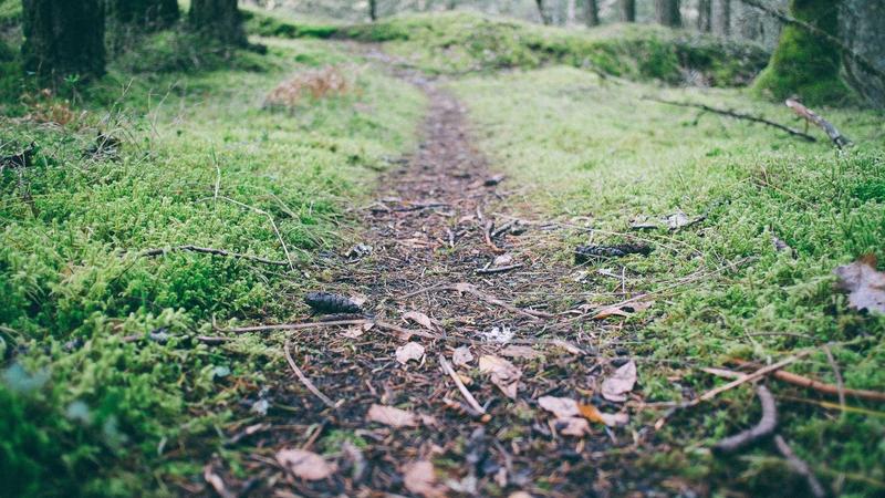 Mastering Mobile App Performance Optimization