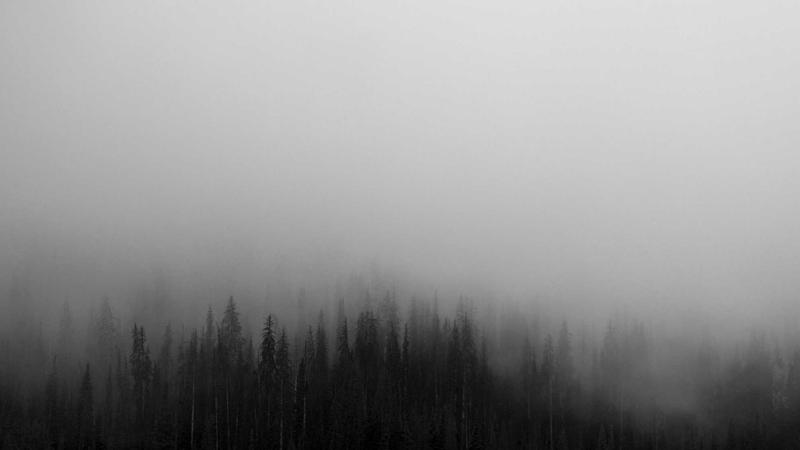 Product-Market Fit: How to Know When You've Found It
