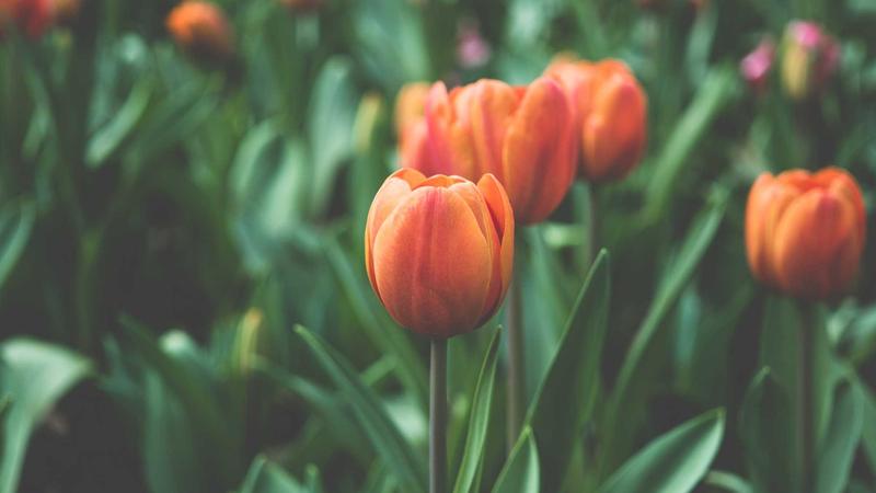 Deploy Laravel to AWS with Zero Downtime Using GitHub Actions